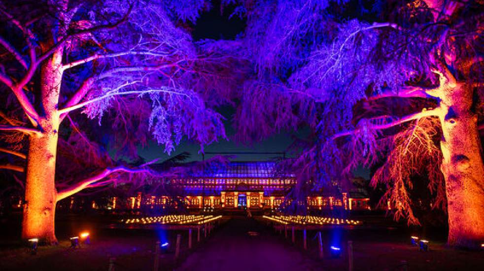 Illuminations at Kew Gardens